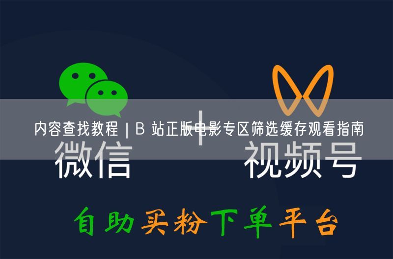 B站正版电影专区：筛选技巧+缓存观影指南