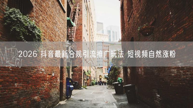2026抖音合规引流推广，SEO助力短视频自然涨粉