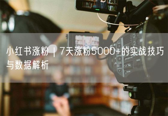 小红书涨粉秘籍：7天涨粉技巧+数据驱动粉丝增长策略