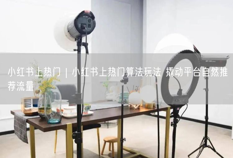 掌握小红书算法玩法，撬动自然流量打造爆款笔记