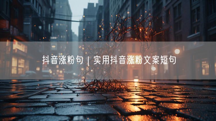 抖音涨粉句|实用抖音涨粉文案短句