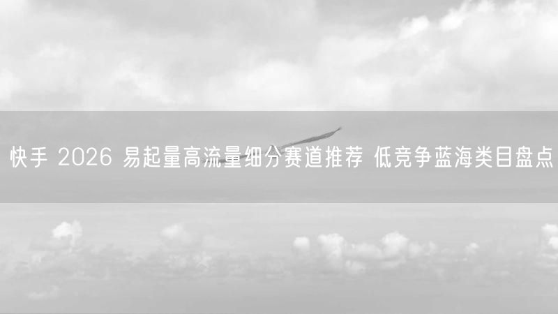 快手 2026 易起量高流量细分赛道推荐 低竞争蓝海类目盘点