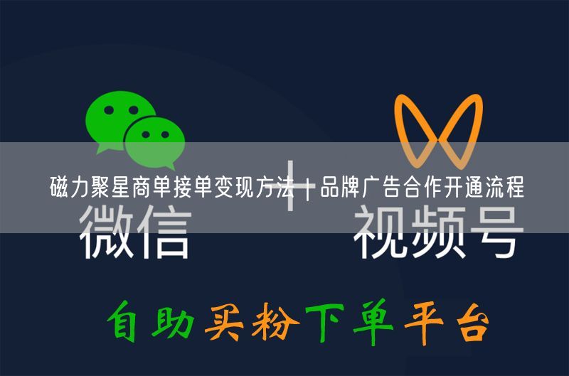 磁力聚星商单接单变现方法｜品牌广告合作开通流程