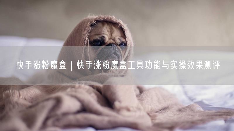 快手涨粉魔盒｜快手涨粉魔盒工具功能与实操效果测评