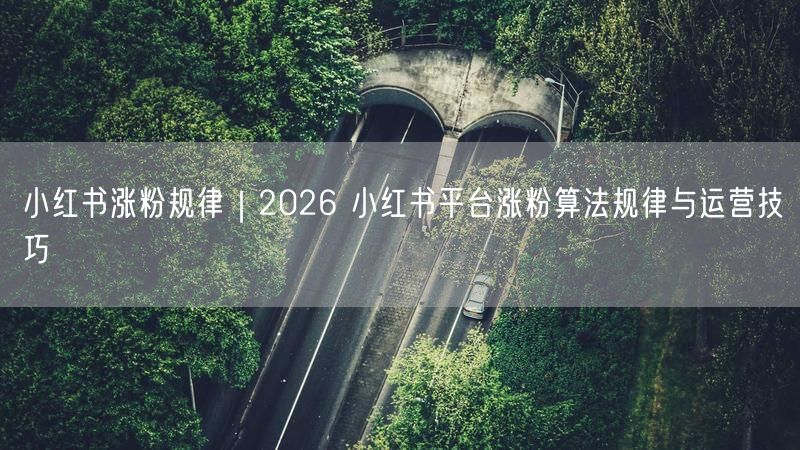 小红书涨粉规律|2026 小红书平台涨粉算法规律与运营技巧