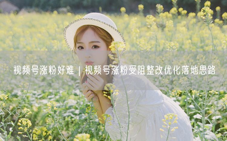 视频号涨粉好难|视频号涨粉受阻整改优化落地思路