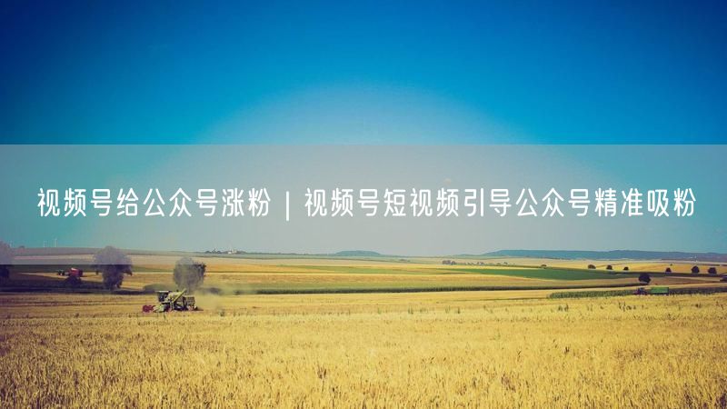 视频号给公众号涨粉|视频号短视频引导公众号精准吸粉