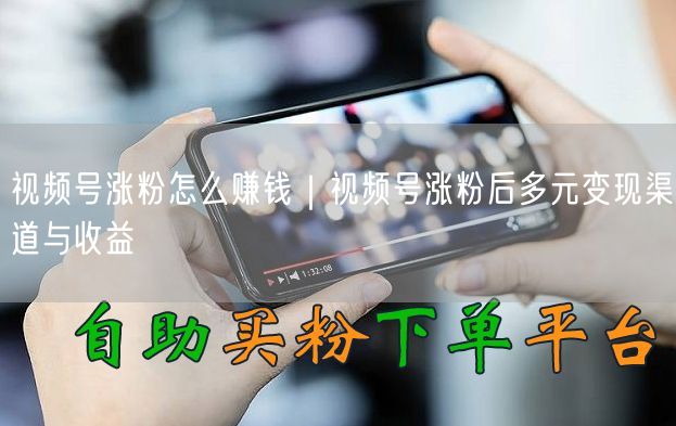 视频号涨粉怎么赚钱|视频号涨粉后多元变现渠道与收益