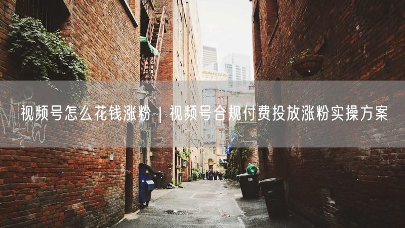 视频号怎么花钱涨粉|视频号合规付费投放涨粉实操方案