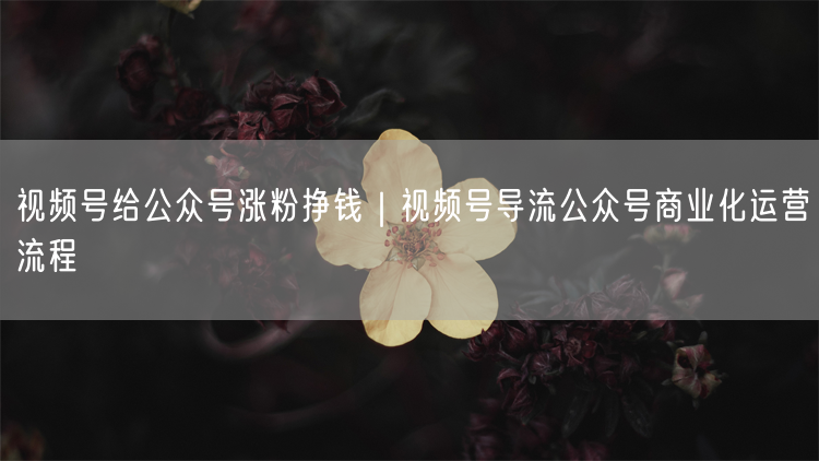 视频号给公众号涨粉挣钱|视频号导流公众号商业化运营流程