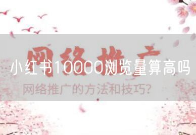 小红书10000浏览量算高吗