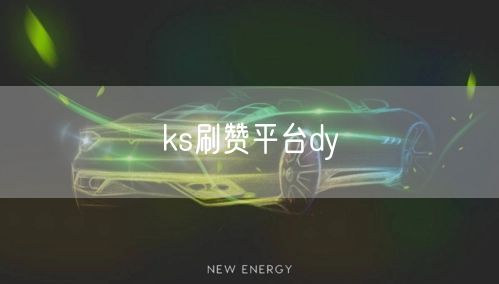 ks刷赞平台dy