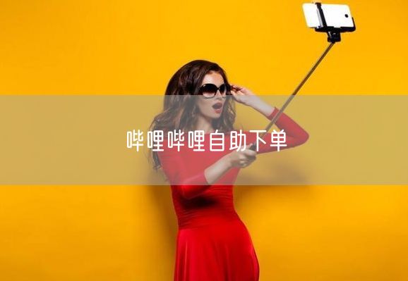 哔哩哔哩自助下单