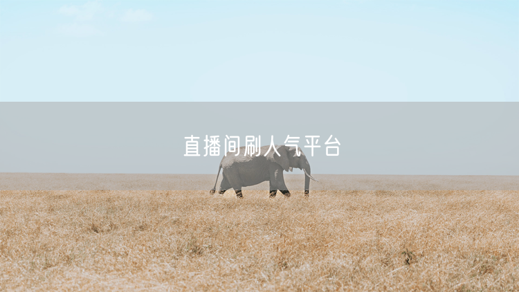 直播间刷人气平台