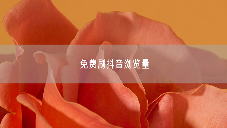 免费刷抖音浏览量