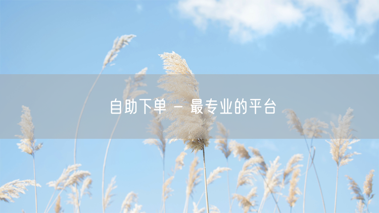 自助下单 - 最专业的平台