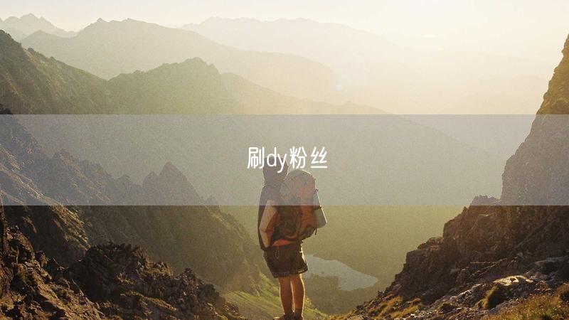 刷dy粉丝