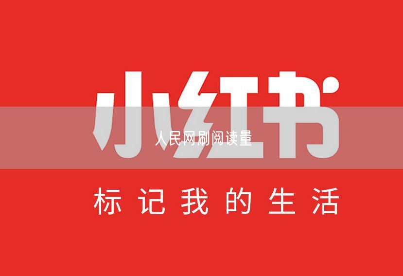 人民网刷阅读量