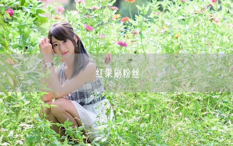 红果刷粉丝