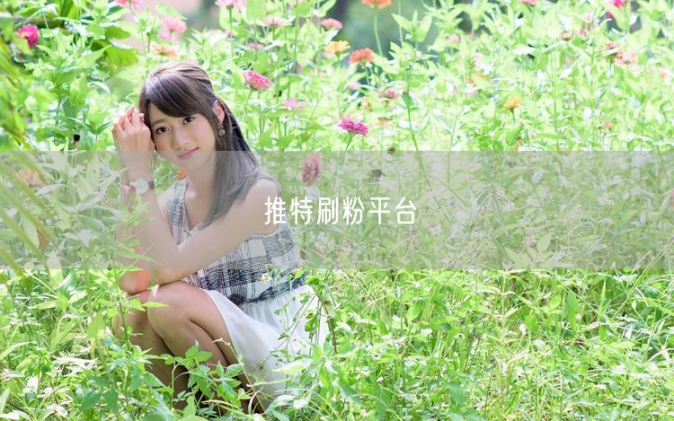 推特刷粉平台