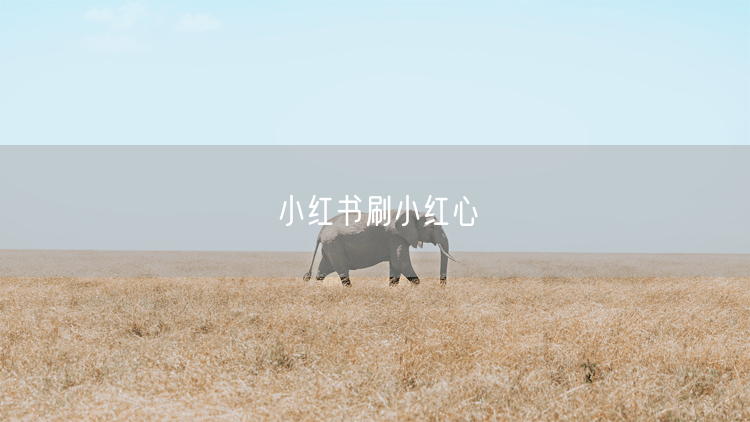小红书刷小红心