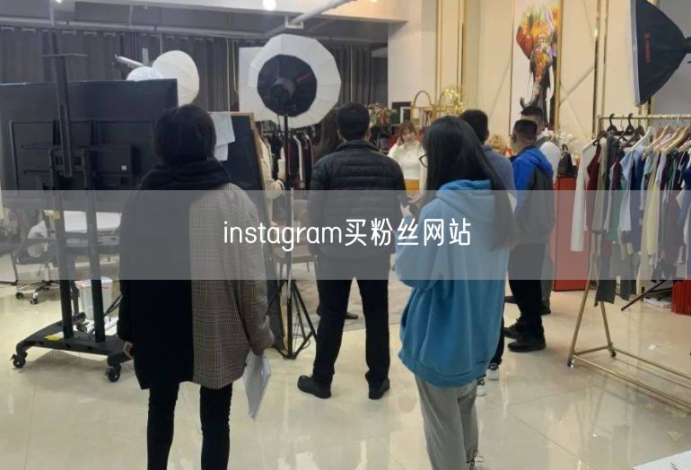 instagram买粉丝网站