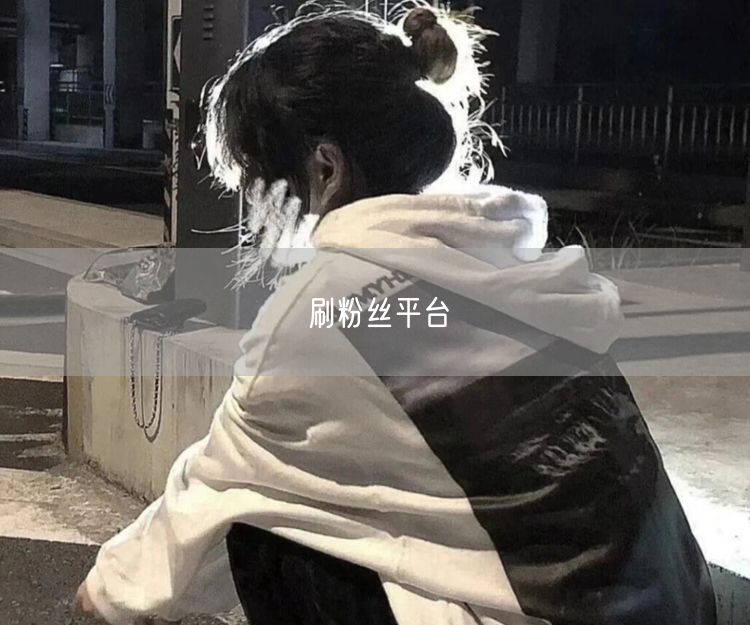 刷粉丝平台