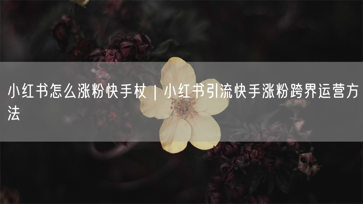 小红书怎么涨粉快手杖｜小红书引流快手涨粉跨界运营方法