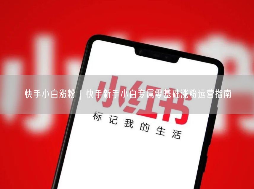 快手小白涨粉｜快手新手小白专属零基础涨粉运营指南