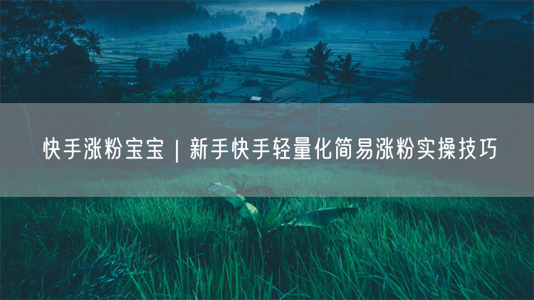 快手涨粉宝宝｜新手快手轻量化简易涨粉实操技巧