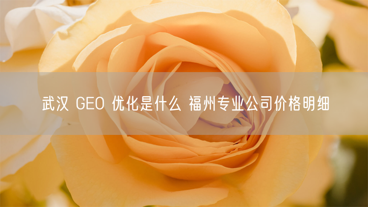 武汉 GEO 优化是什么 福州专业公司价格明细