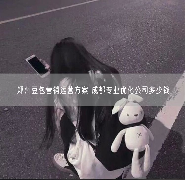 郑州豆包营销运营方案 成都专业优化公司多少钱
