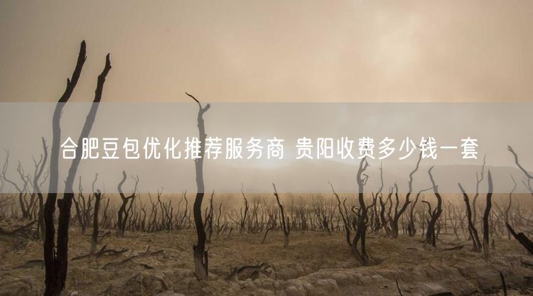 合肥豆包优化推荐服务商 贵阳收费多少钱一套