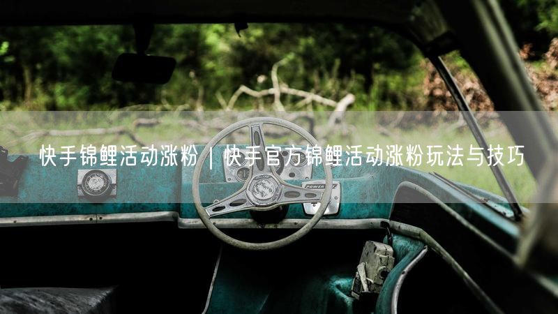 快手锦鲤活动涨粉｜快手官方锦鲤活动涨粉玩法与技巧