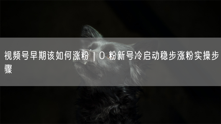 视频号早期该如何涨粉｜0 粉新号冷启动稳步涨粉实操步骤