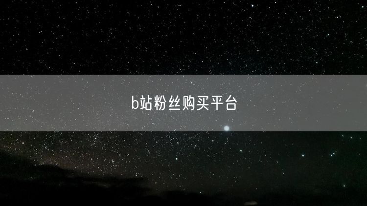 b站粉丝购买平台