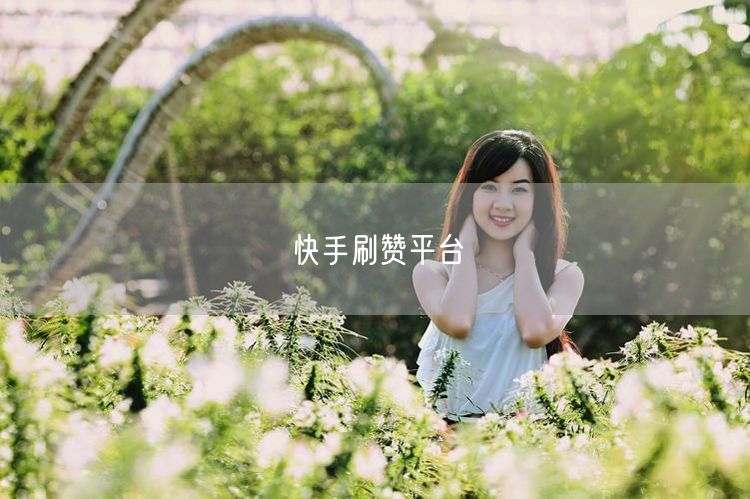 快手刷赞平台