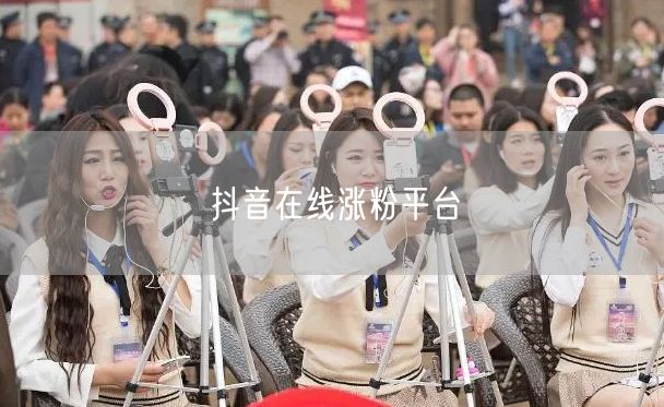抖音在线涨粉平台