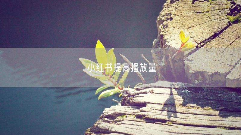 小红书提高播放量