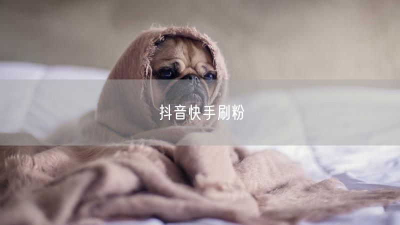 抖音快手刷粉