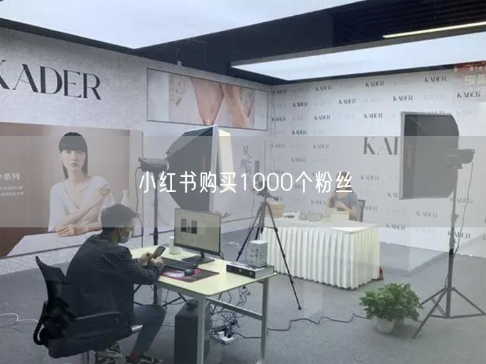 小红书购买1000个粉丝