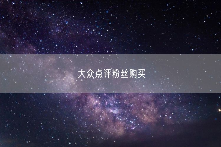 大众点评粉丝购买