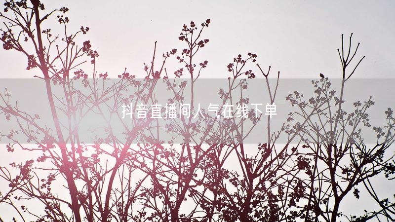 抖音直播间人气在线下单
