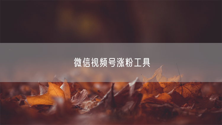 微信视频号涨粉工具