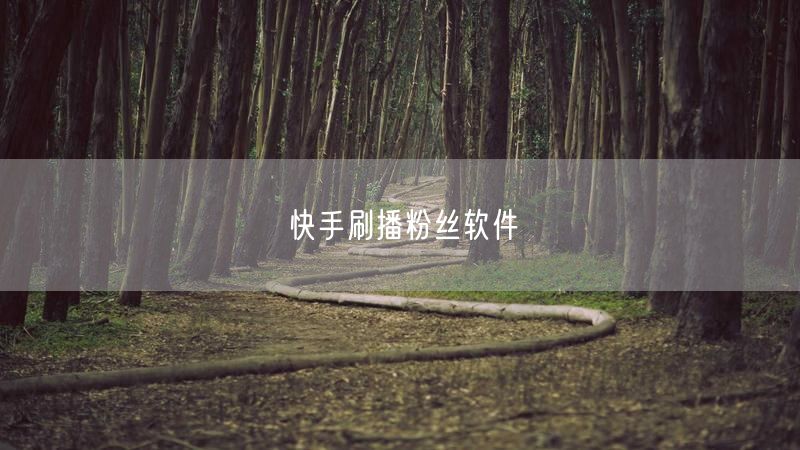 快手刷播粉丝软件