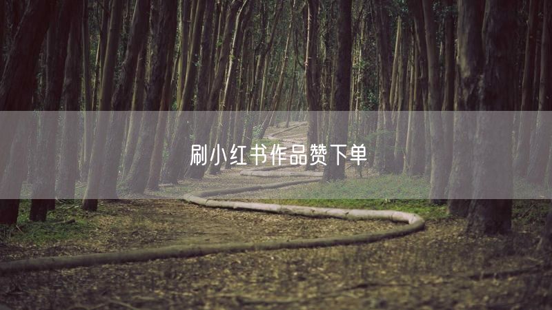 刷小红书作品赞下单