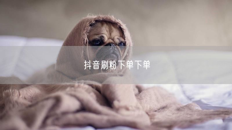 抖音刷粉下单下单