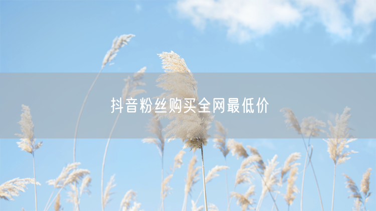 抖音粉丝购买全网最低价