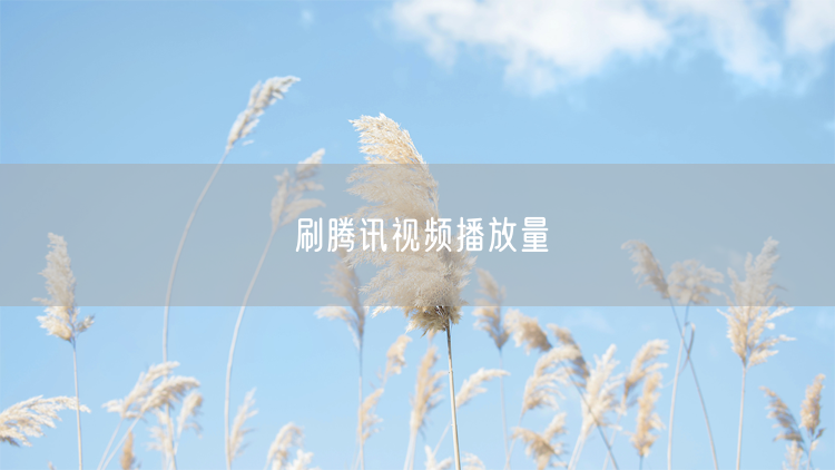 刷腾讯视频播放量