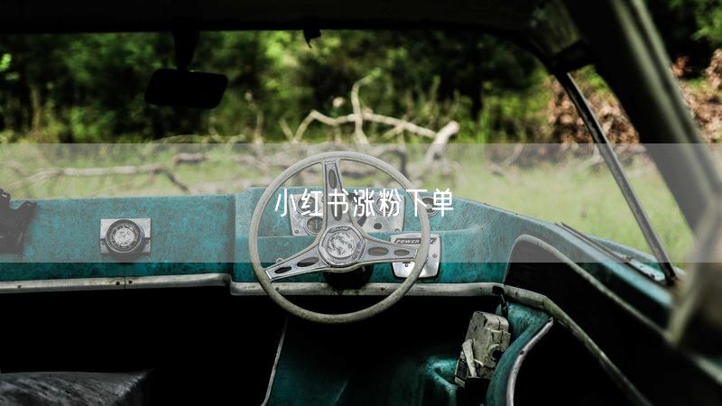 小红书涨粉下单
